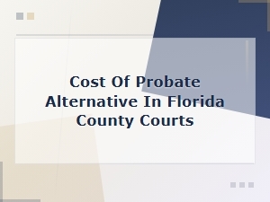 Florida County Court Probate Alternative Filing Costs